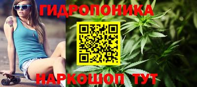 прущие грибы Гусев