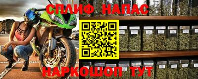 прущие грибы Гусев